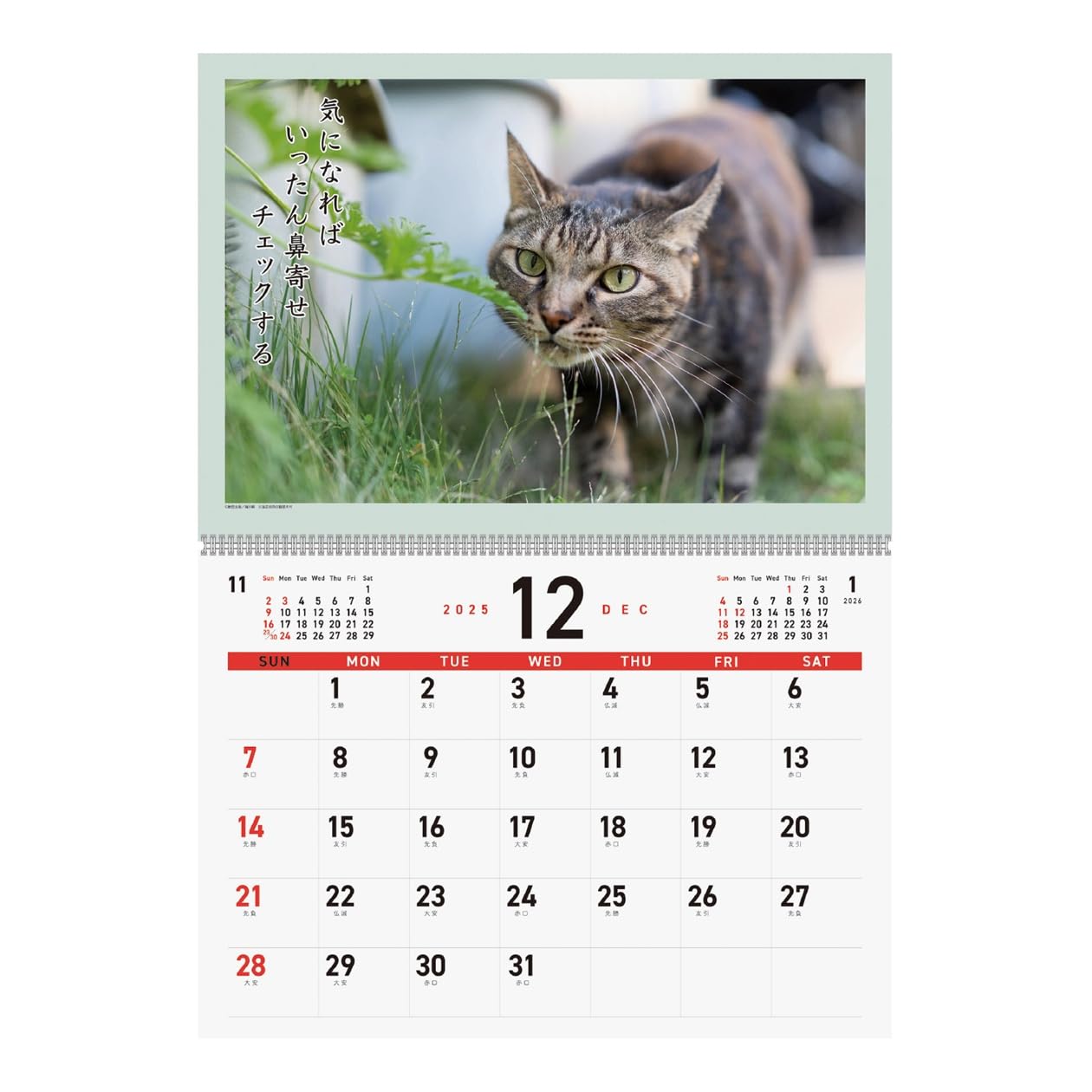 Amazon | 2026年カレンダー 猫川柳 | カレンダー | 文房具・オフィス用品